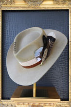 Load image into Gallery viewer, Hummingbird in Silver Belly (Shaped & Distressed)